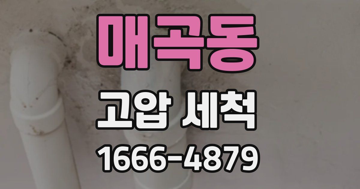 매곡동 고압 세척