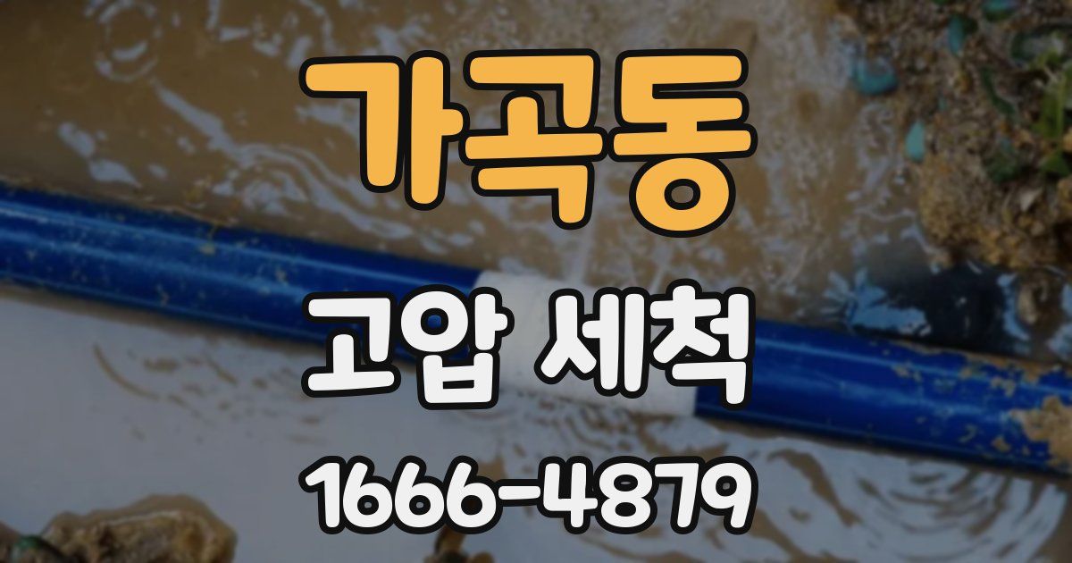 가곡동 고압 세척
