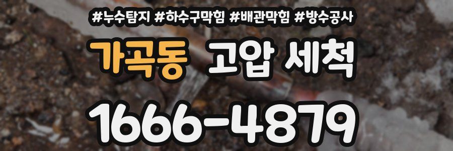 가곡동 고압 세척