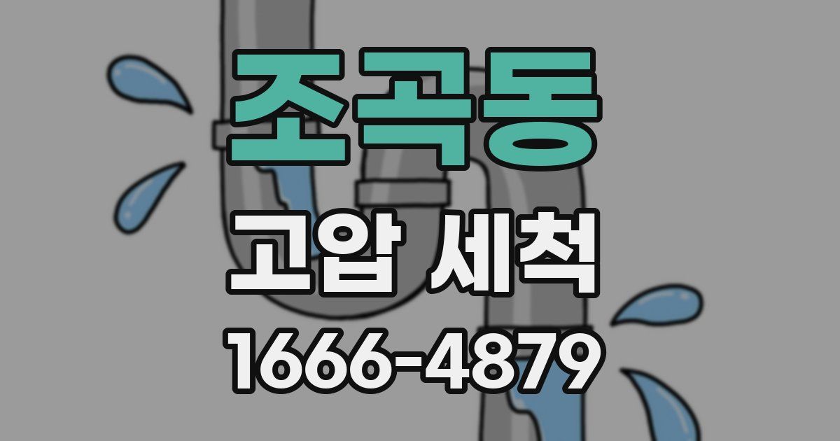 조곡동 고압 세척