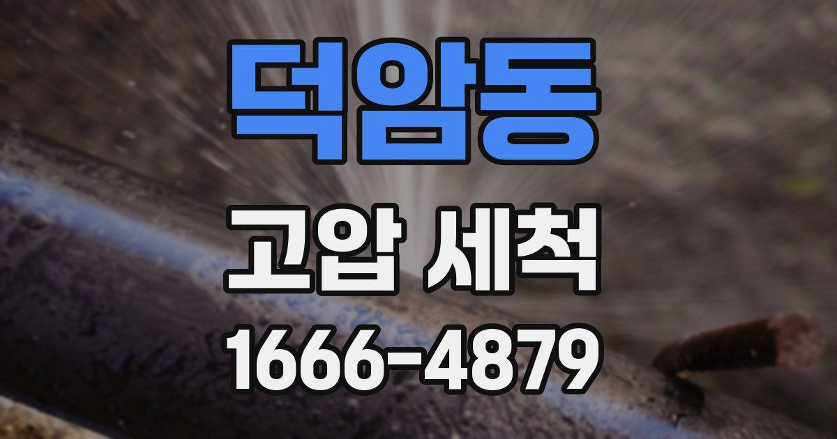 덕암동 고압 세척