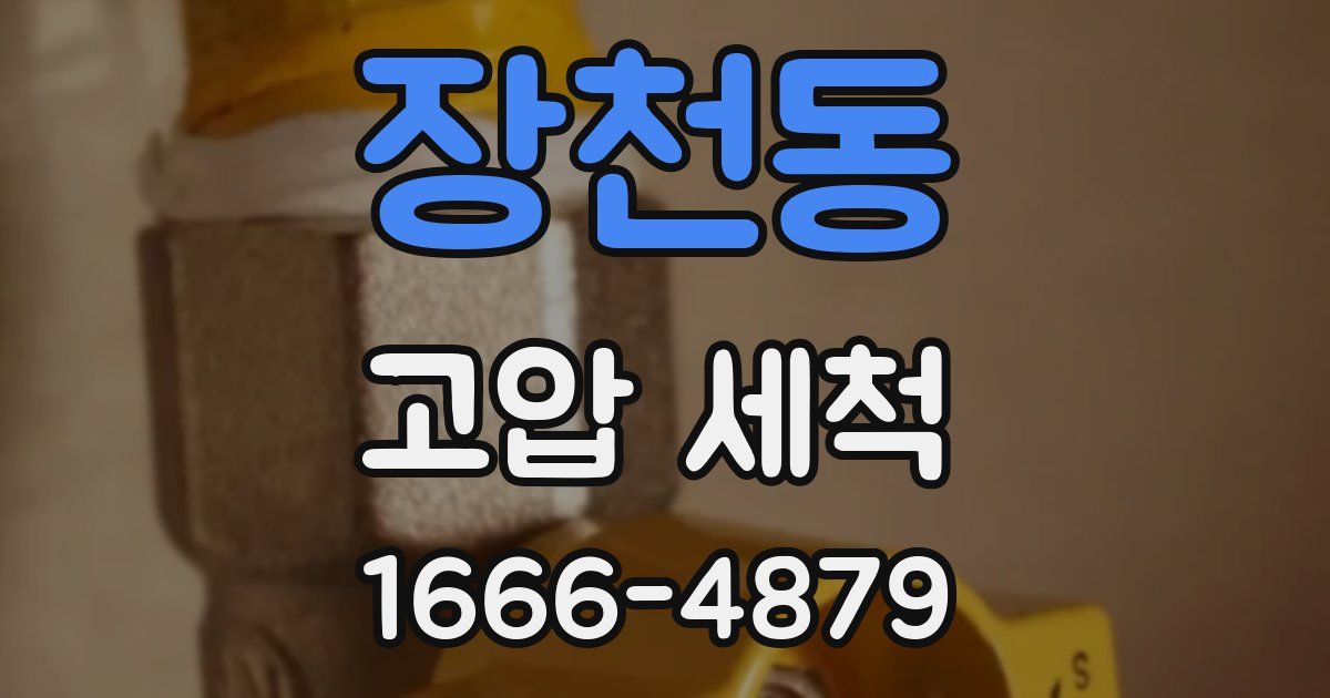 장천동 고압 세척