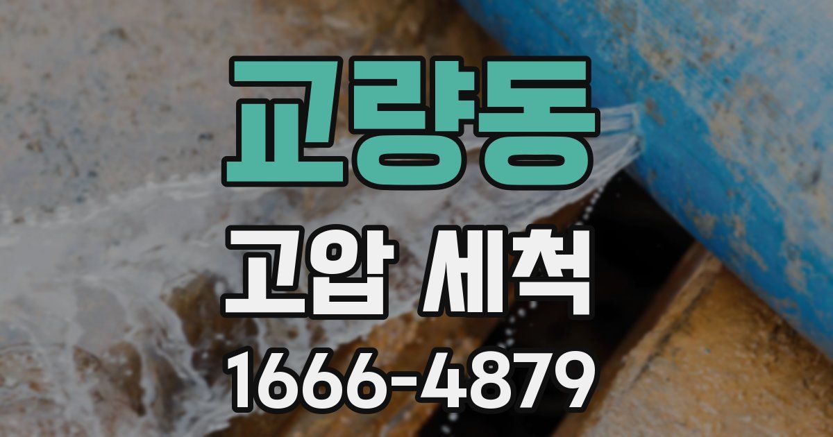 교량동 고압 세척