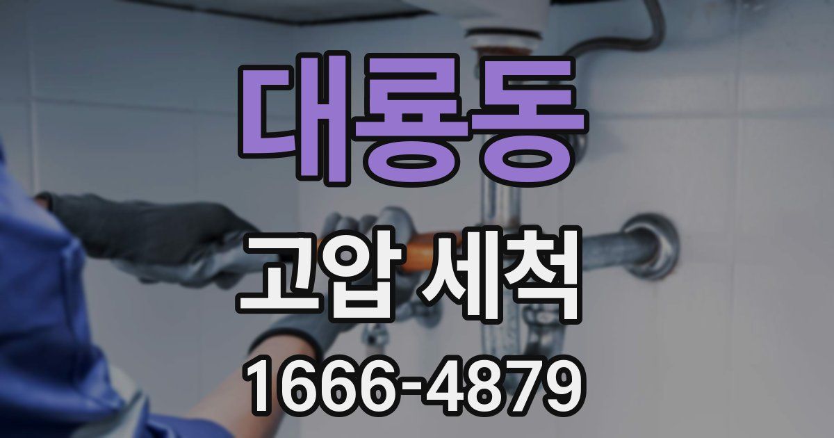 대룡동 고압 세척
