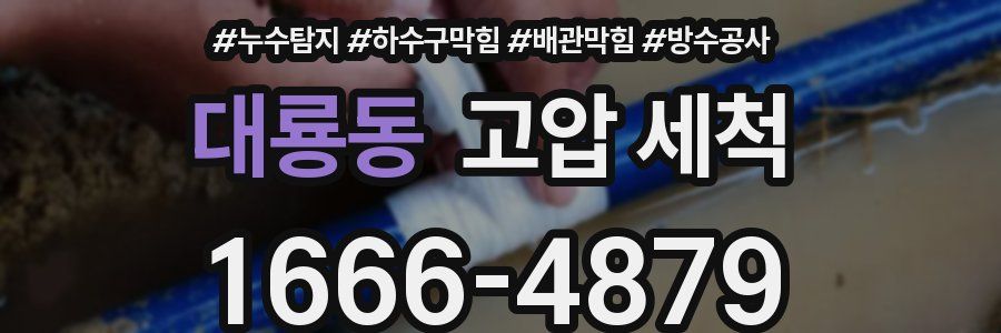 대룡동 고압 세척