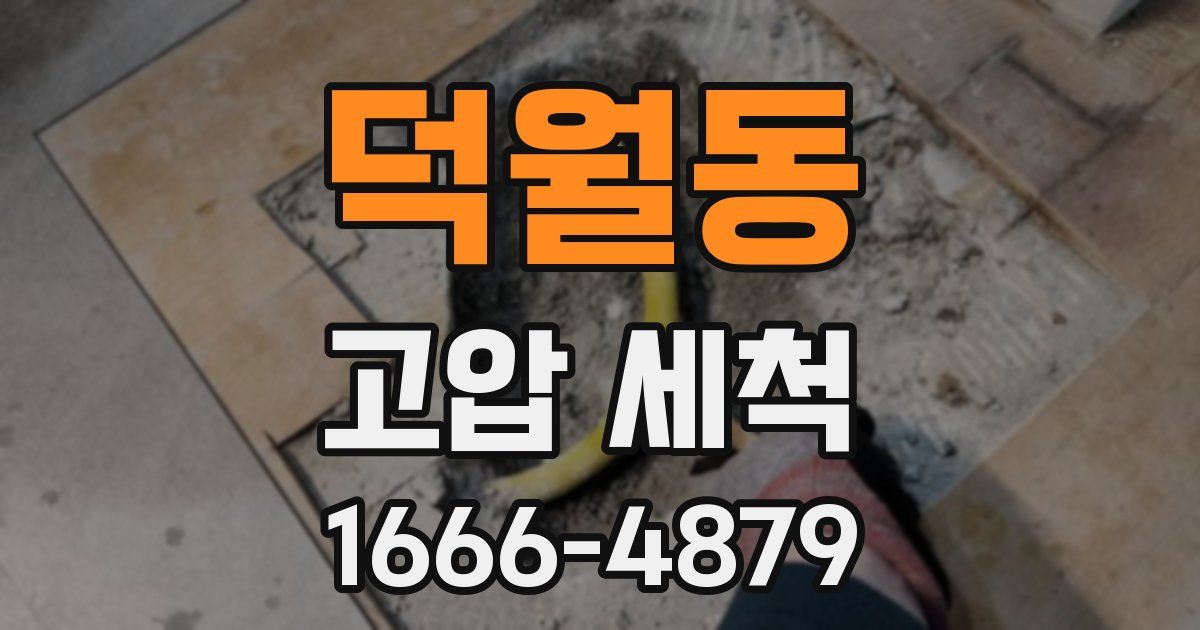 덕월동 고압 세척