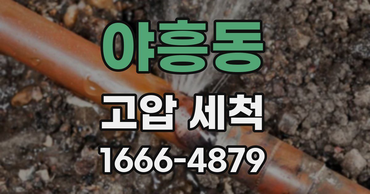 야흥동 고압 세척