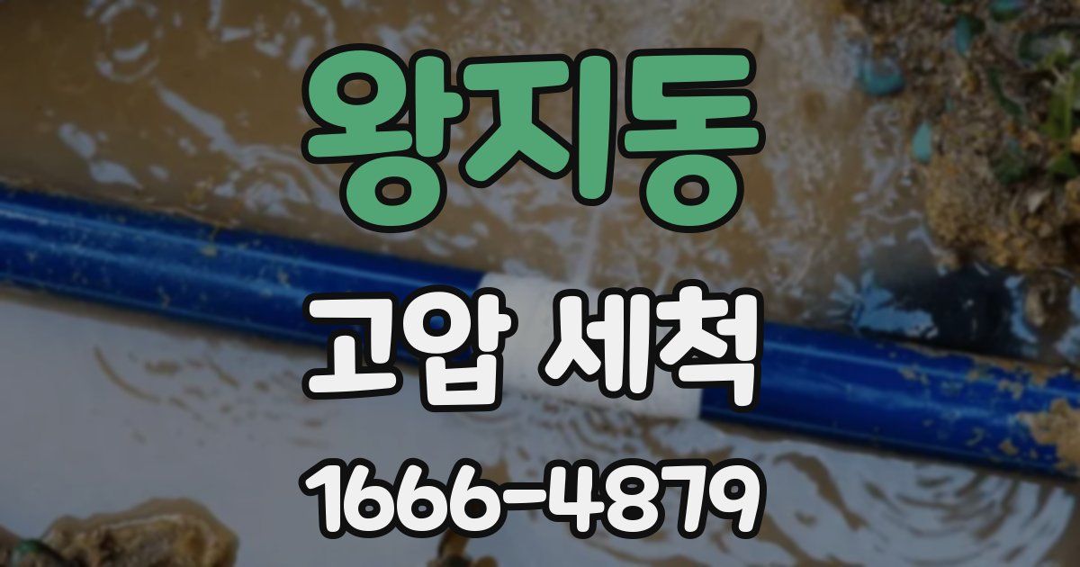 왕지동 고압 세척