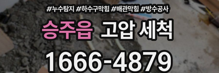 승주읍 고압 세척
