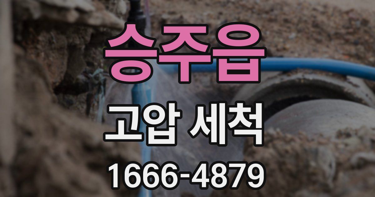 승주읍 고압 세척