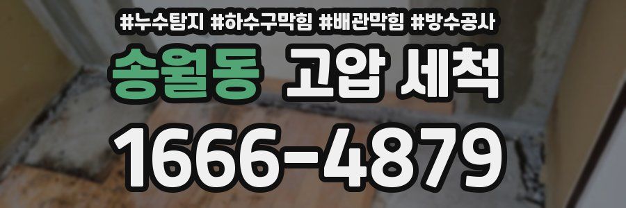 송월동 고압 세척
