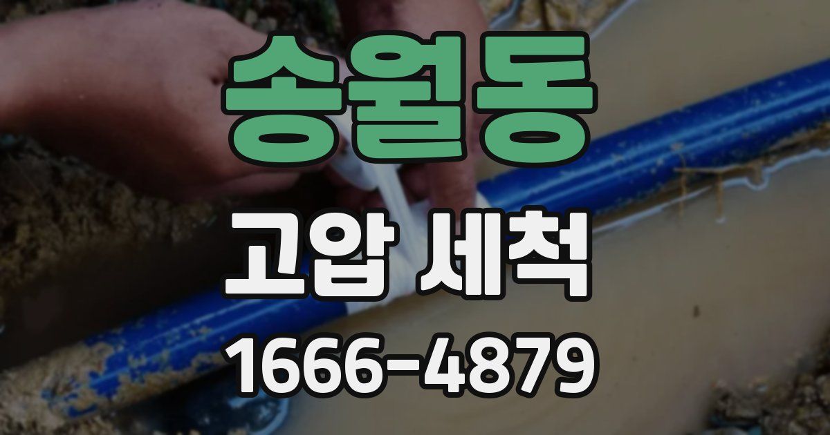 송월동 고압 세척