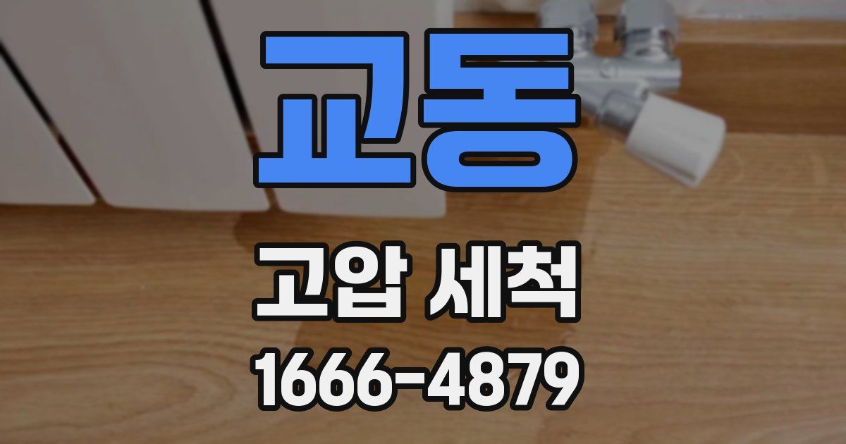 교동 고압 세척