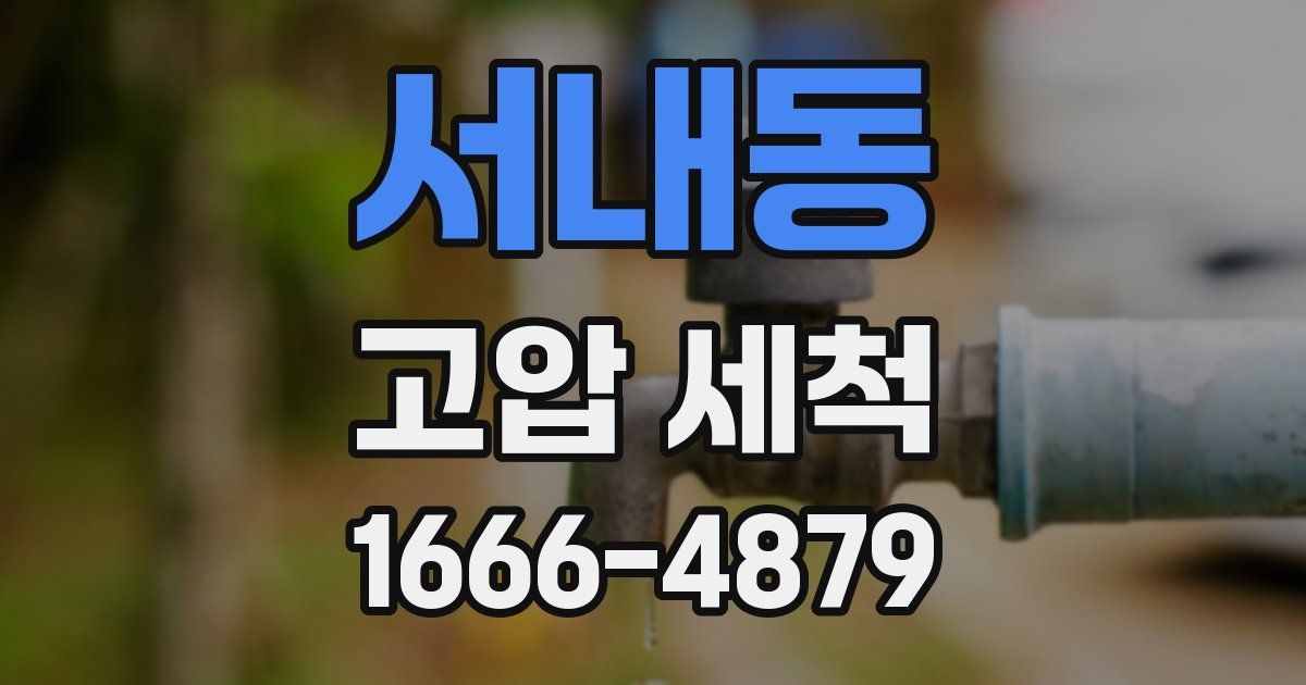 서내동 고압 세척
