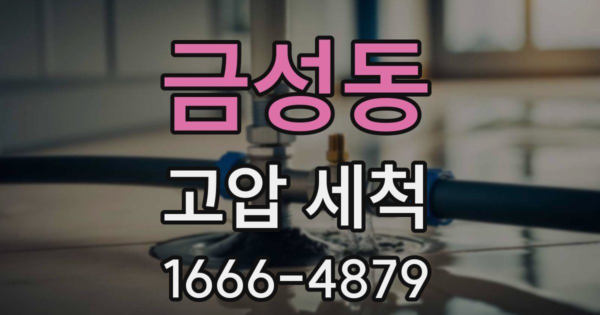 금성동 고압 세척