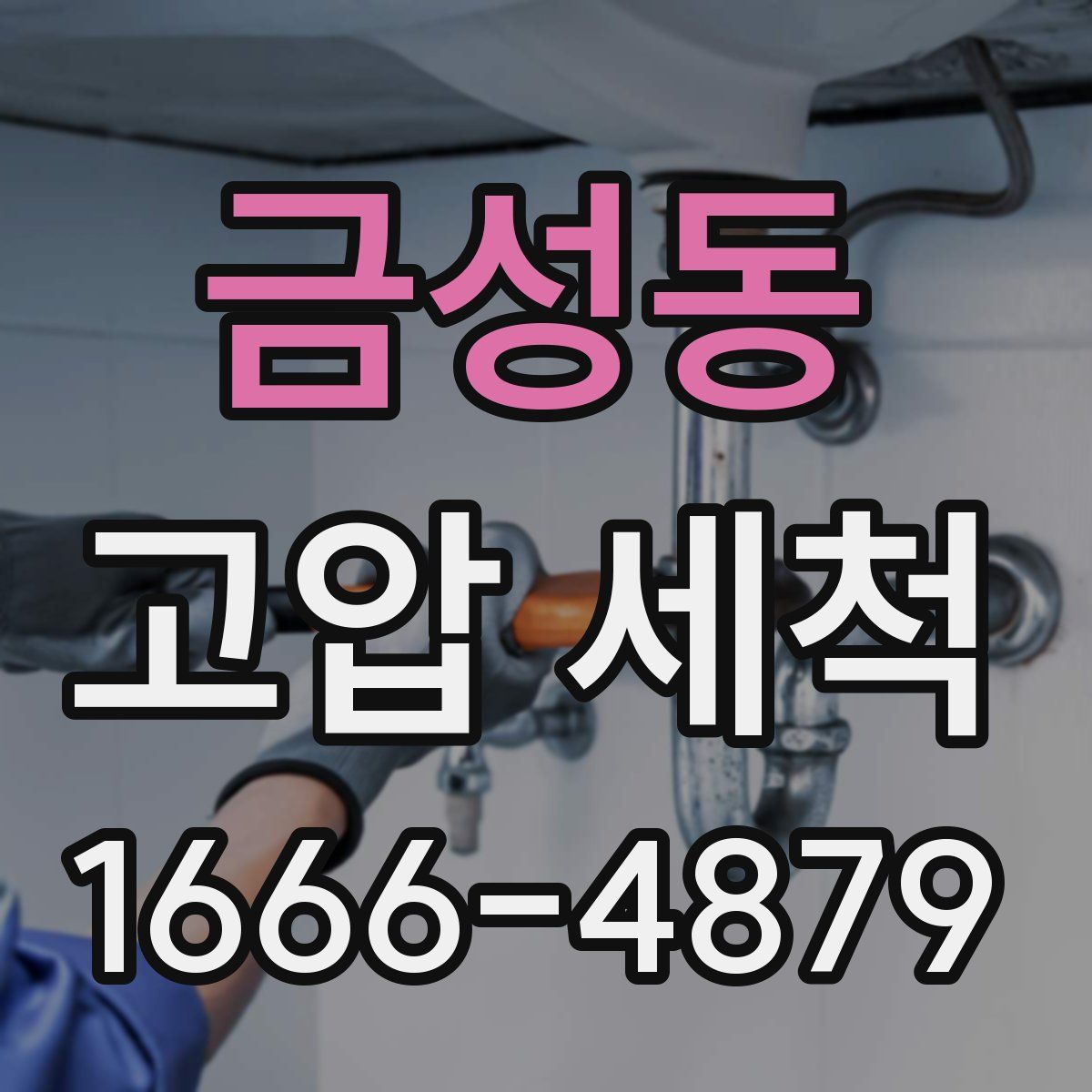 금성동 고압 세척