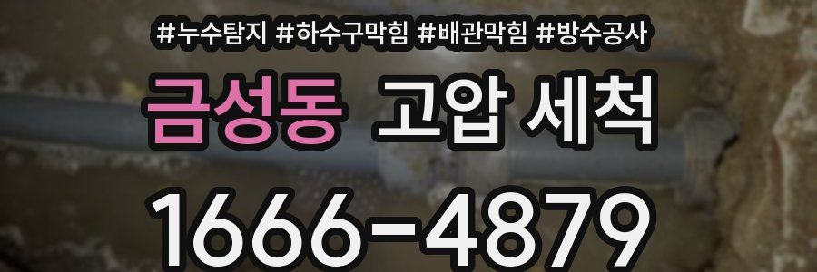 금성동 고압 세척