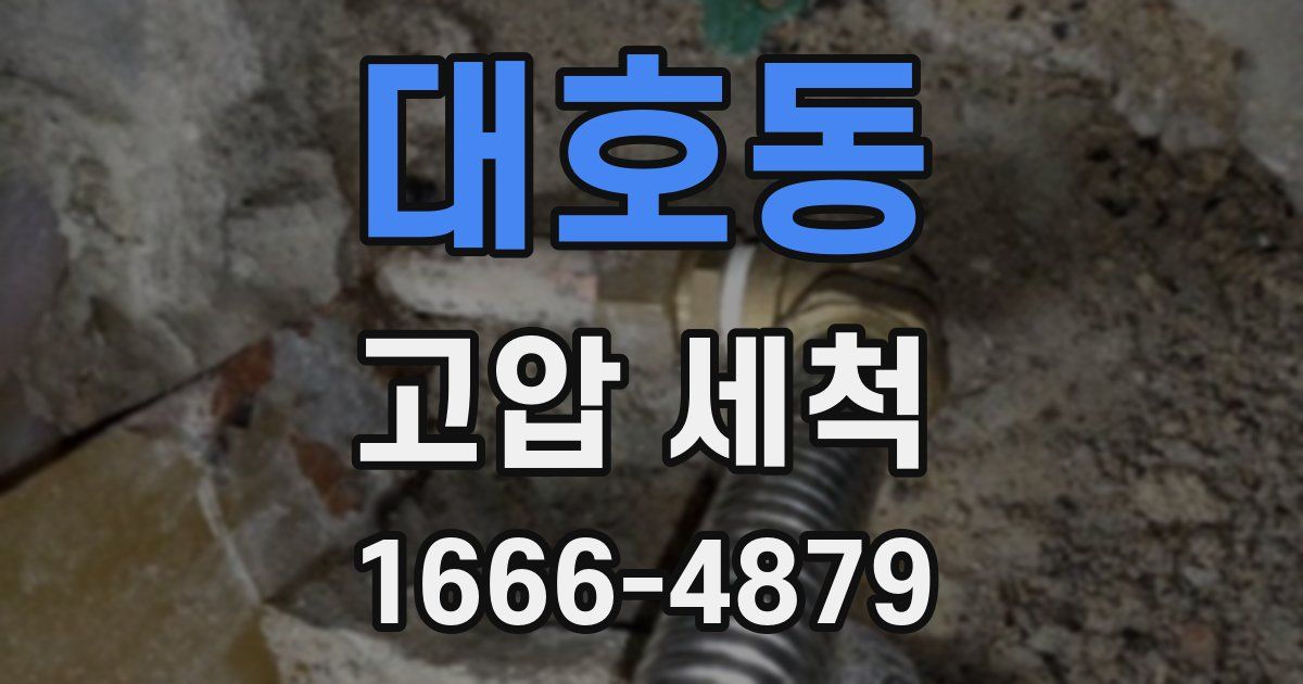 대호동 고압 세척
