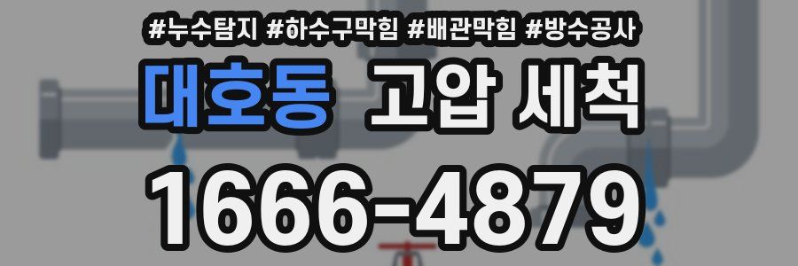 대호동 고압 세척