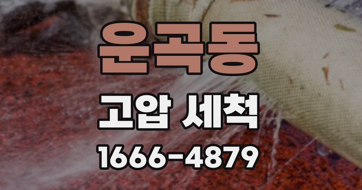 운곡동 고압 세척