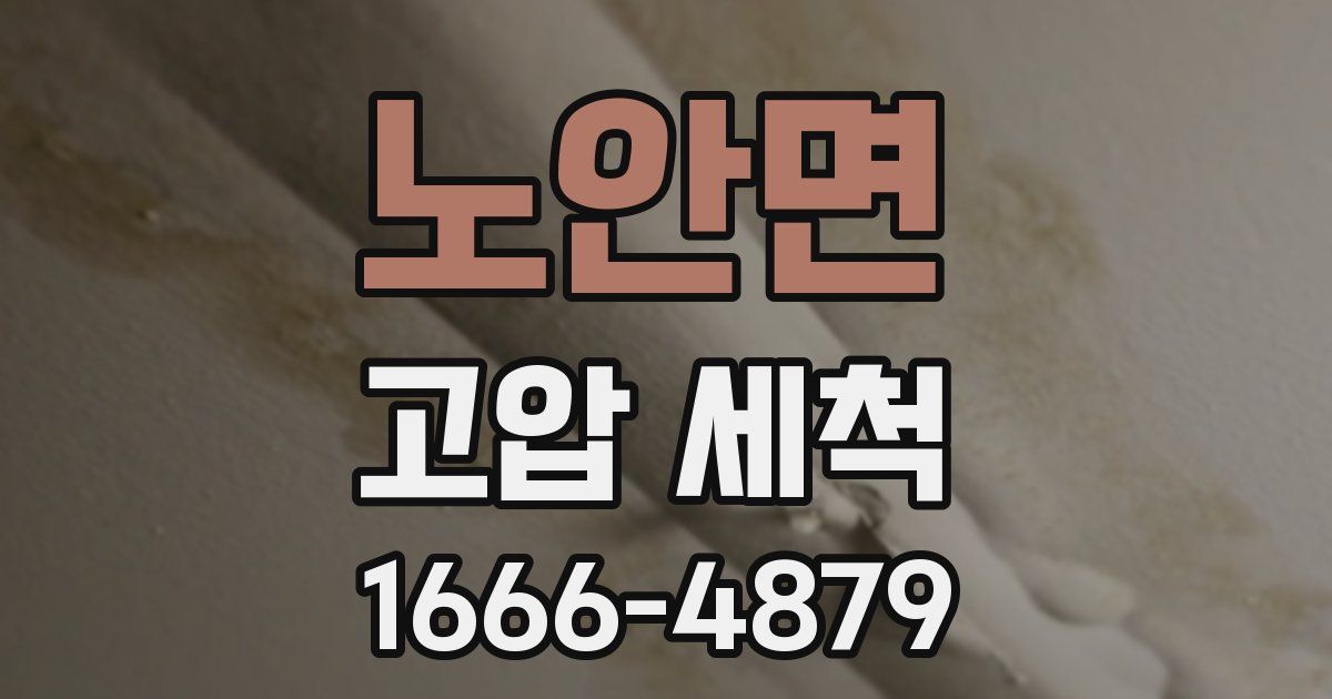 노안면 고압 세척