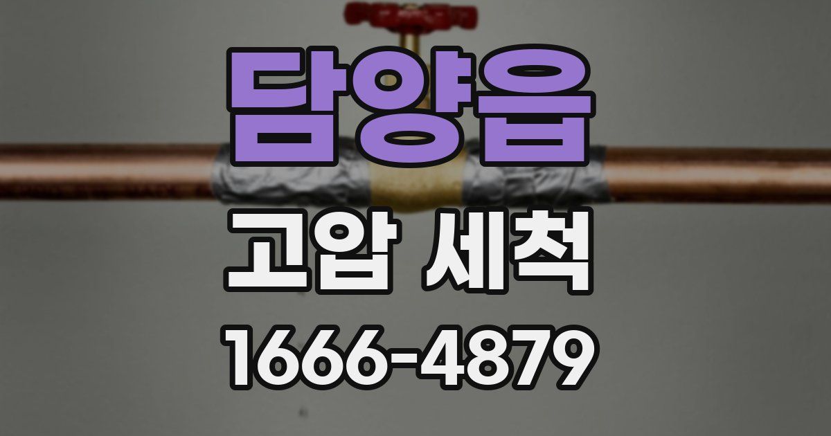 담양읍 고압 세척