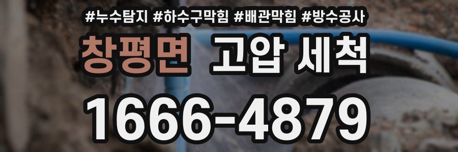 창평면 고압 세척
