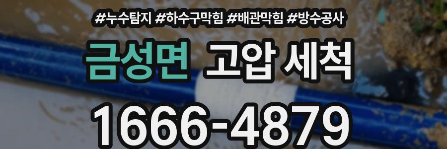 금성면 고압 세척