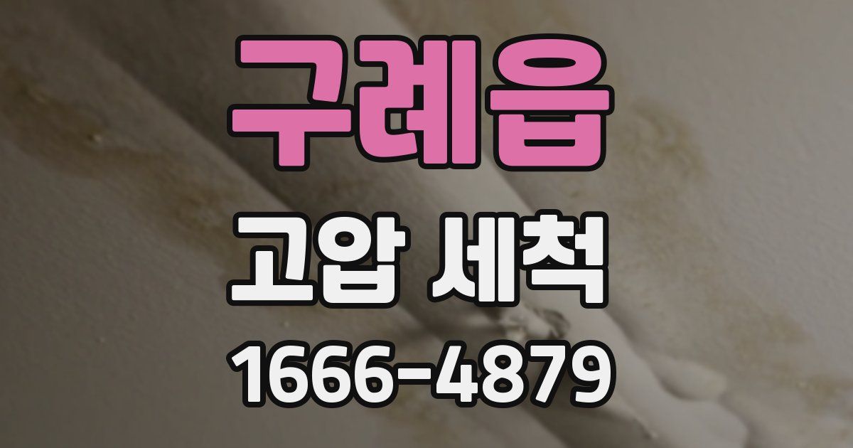 구례읍 고압 세척