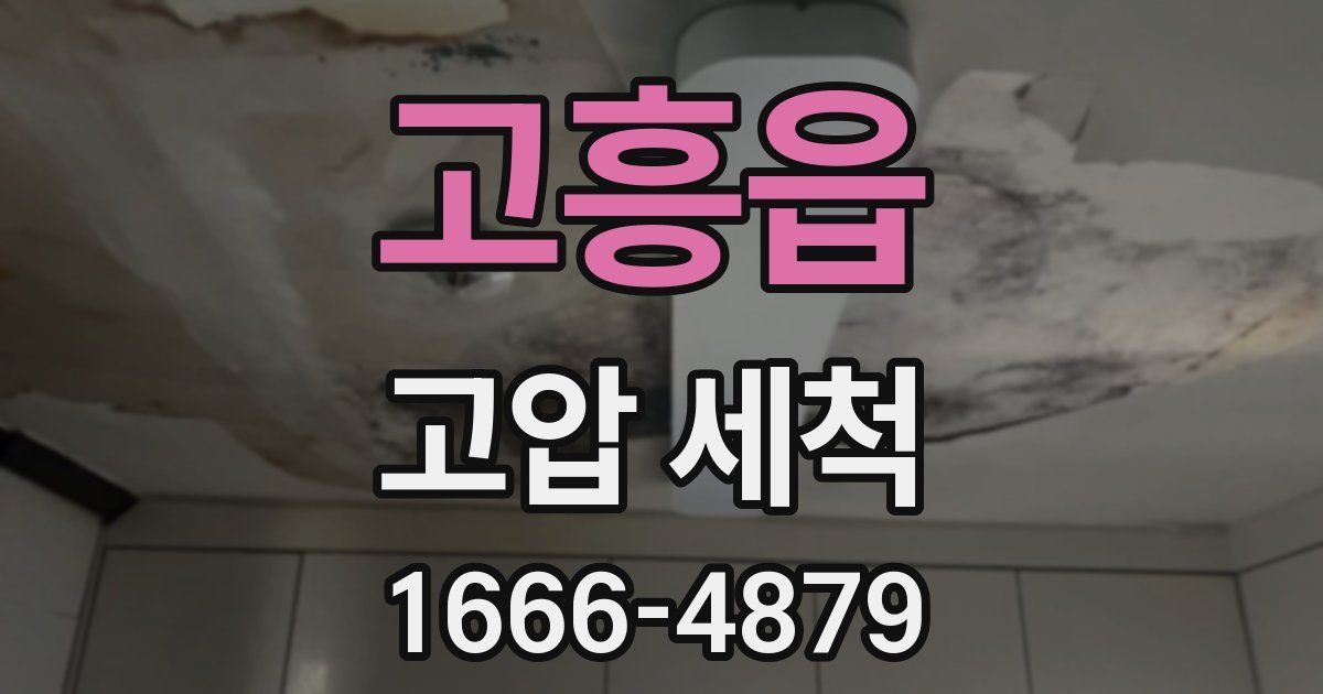 고흥읍 고압 세척