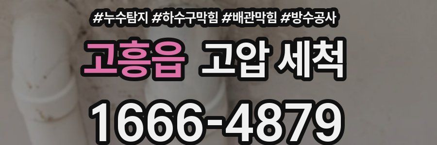 고흥읍 고압 세척