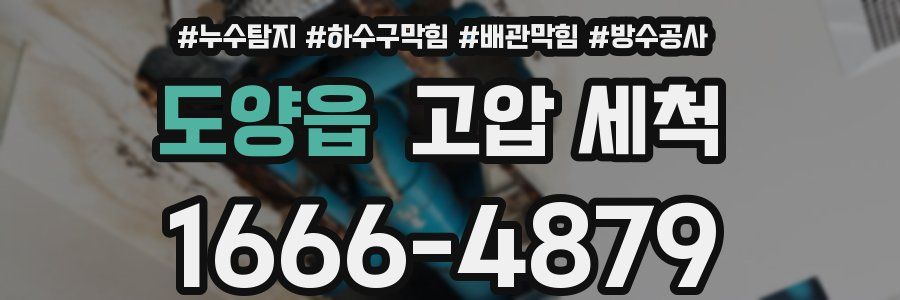 도양읍 고압 세척