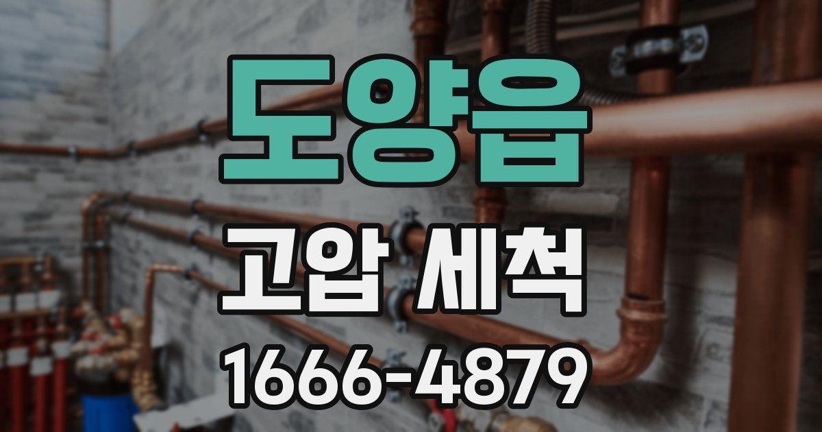 도양읍 고압 세척