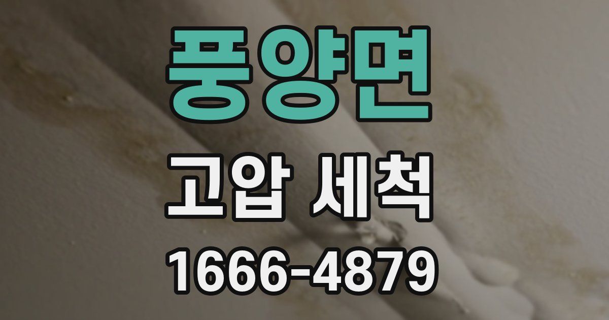 풍양면 고압 세척