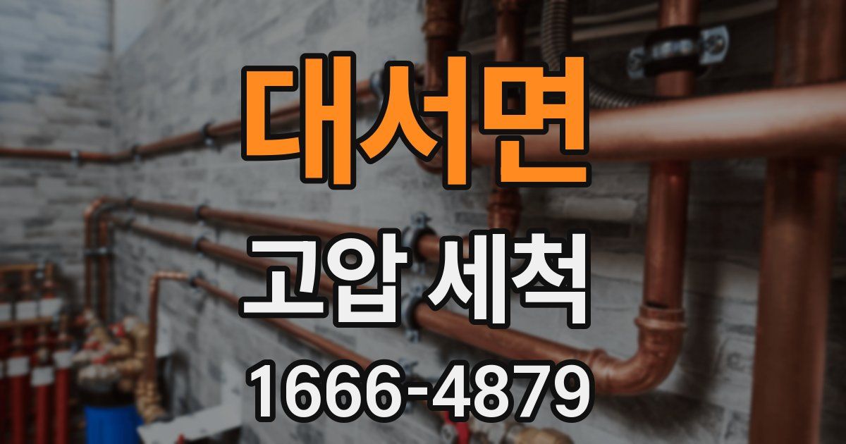 대서면 고압 세척