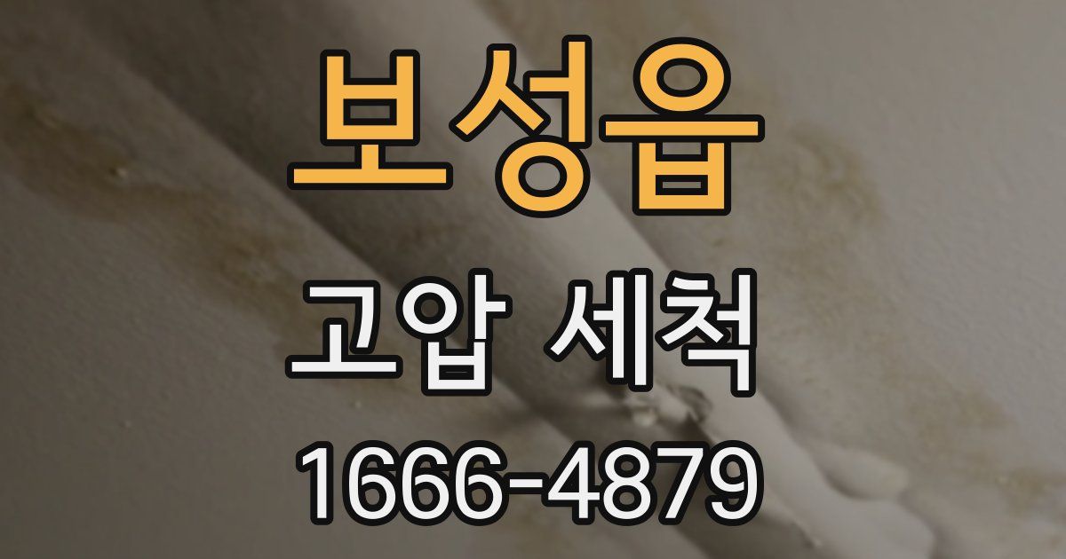 보성읍 고압 세척