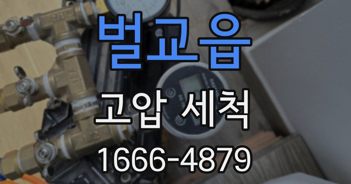 벌교읍 고압 세척