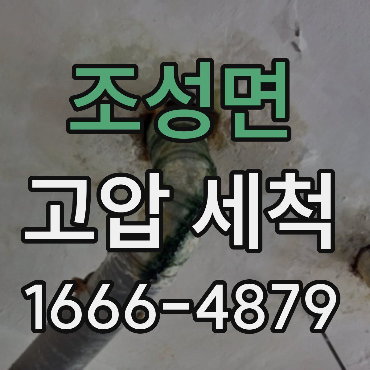 조성면 고압 세척