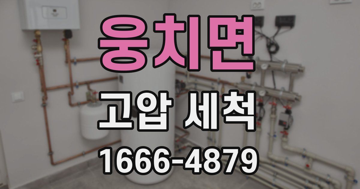 웅치면 고압 세척