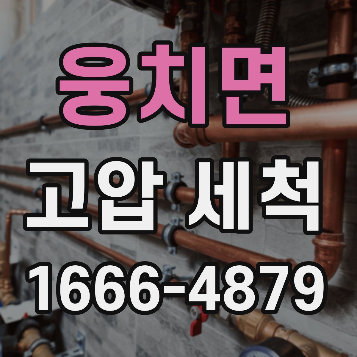 웅치면 고압 세척