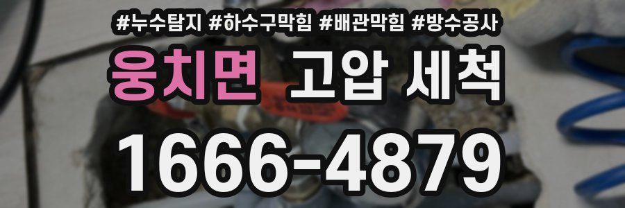 웅치면 고압 세척