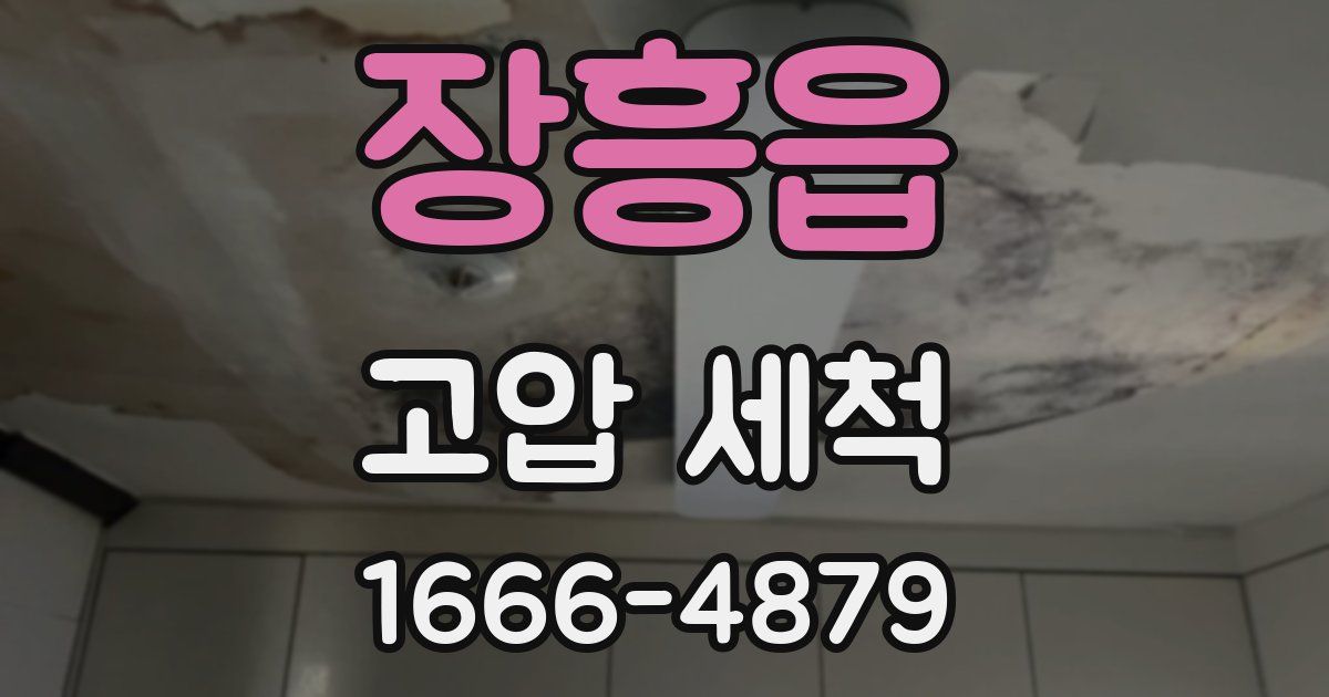 장흥읍 고압 세척