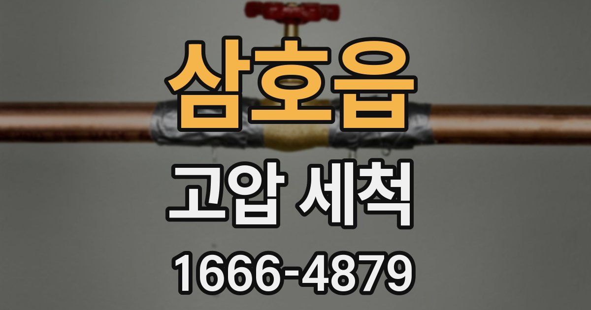 삼호읍 고압 세척