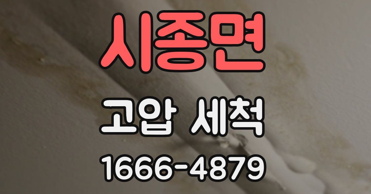 시종면 고압 세척