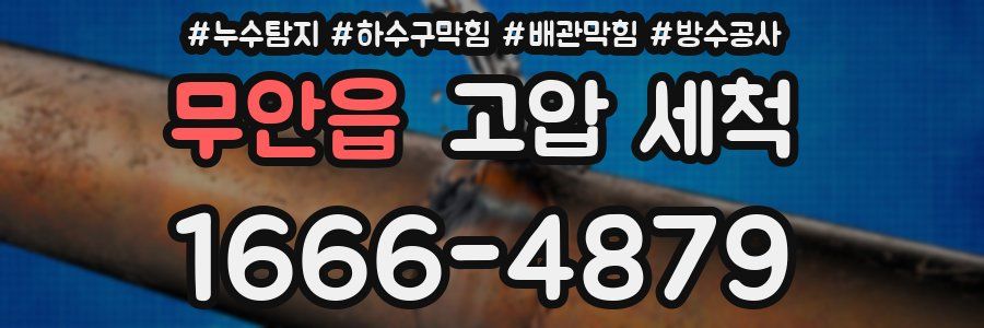 무안읍 고압 세척