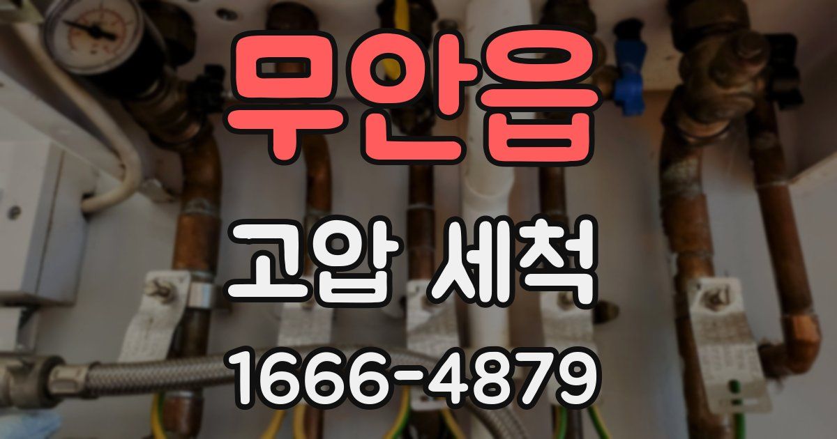 무안읍 고압 세척