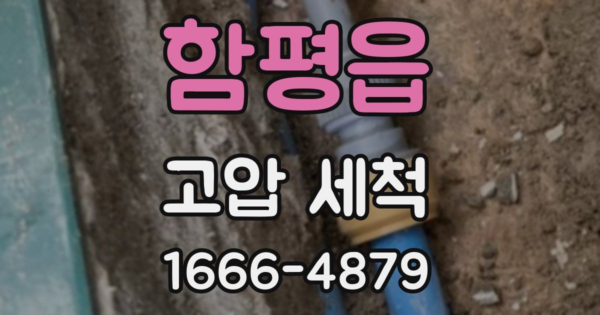 함평읍 고압 세척
