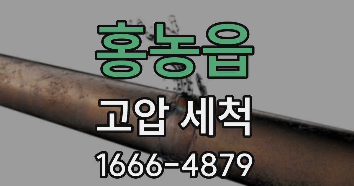 홍농읍 고압 세척