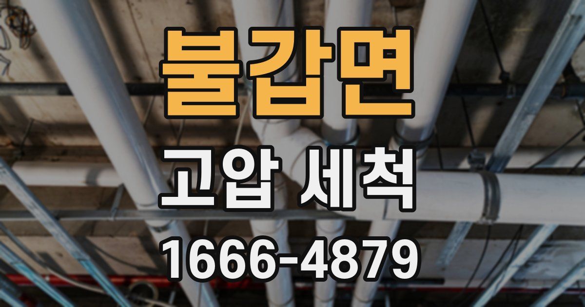 불갑면 고압 세척