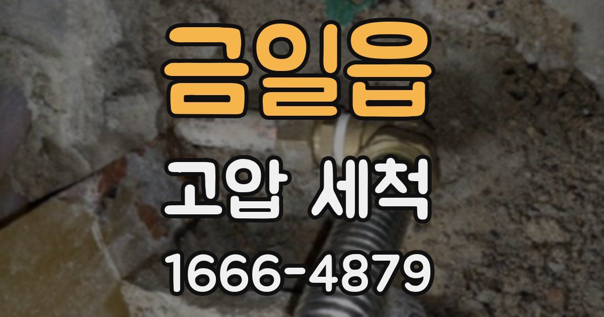 금일읍 고압 세척